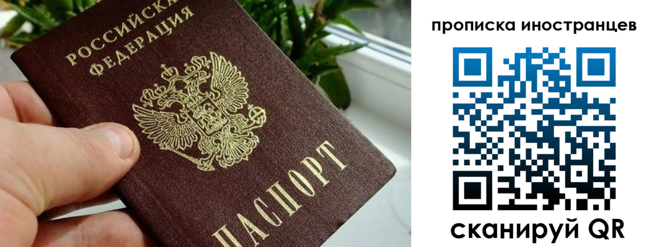 временная регистрация в Курганской области